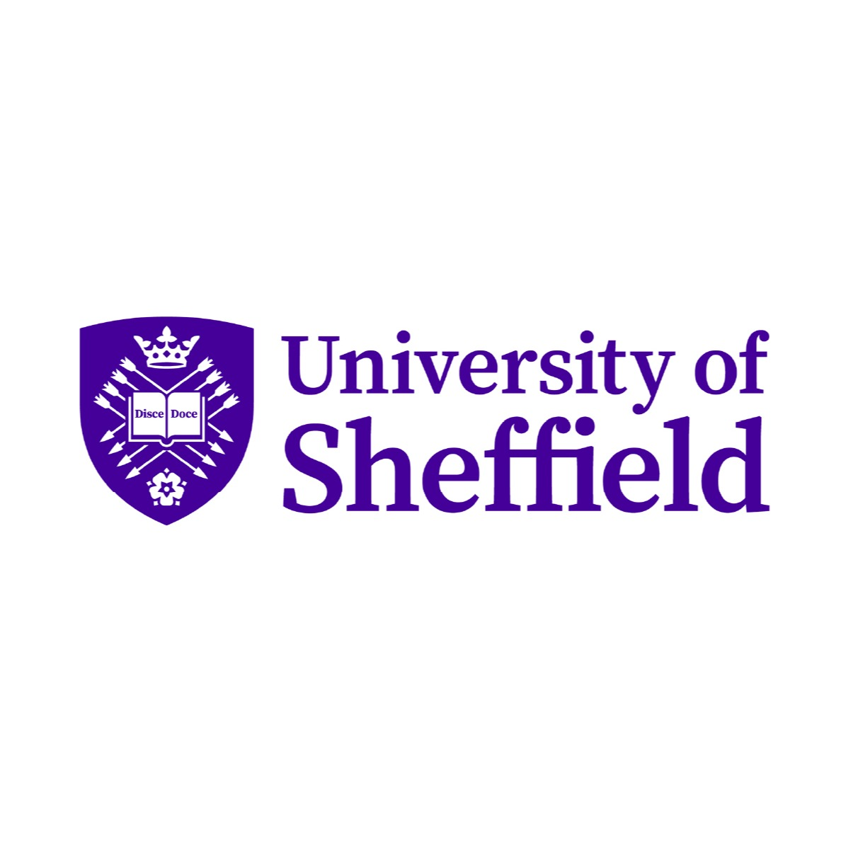 University of Sheffield